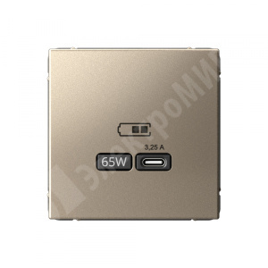 Изображение GAL000527 | Розетка USB тип-C 65W высокоскор.заряд. QC шампань ArtGallery GAL000527 Systeme Electric