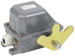 Изображение KV-1-704-1 | Выключатель концевой КУ-704 У1, W- образный рычаг, 10А, IP44, 2 эл. цепи KV-1-704-1 IEK (ИЭК)