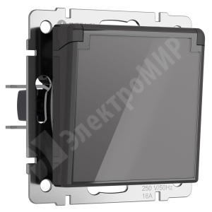 Изображение W1171244 | Розетка 2P+E IP44 с крышкой со шторками графит акрил Werkel