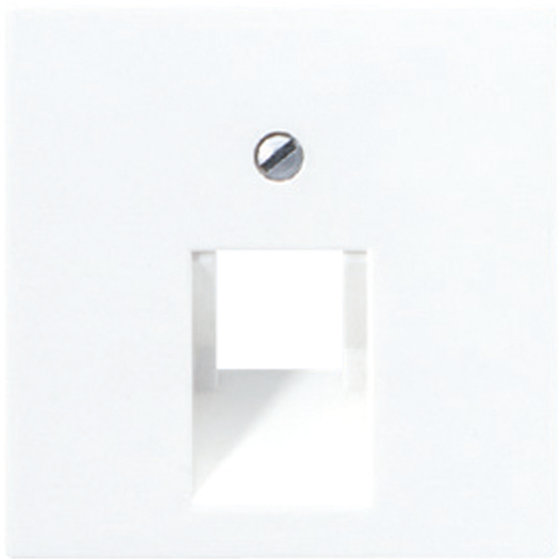 Изображение A569-1BFPLUAWW | Накладка для розетки компьютерной/телефонной (термопласт) белый ECO profi A569-1BFPLUAWW JUNG