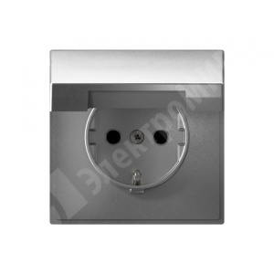 Изображение GAL000346 | Розетка 2P+E с крышкой со шторками 16А алюминий ArtGallery GAL000346 Systeme Electric