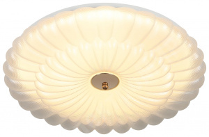 Изображение Б0070191 | Светильник потолочный светодиодный ЭРА SPB-6 Chester 48W-5K WH+GD без ДУ