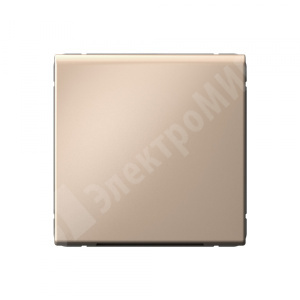 Изображение GAL001299 | Кабельный вывод песочный ArtGallery GAL001299 Systeme Electric